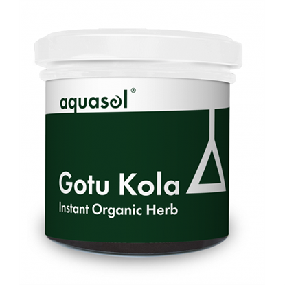 Gotu Kola Tea 20g