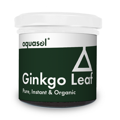 Ginkgo Leaf Tea 20g
