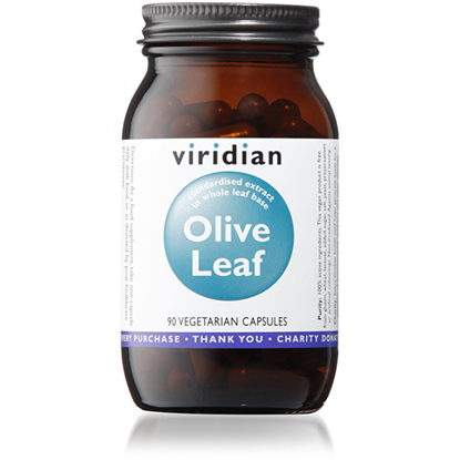 Olive Leaf Extract 90's
