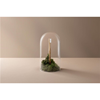 Super Natural Bamboo Toothbrush Soft