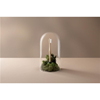 Super Natural Bamboo Toothbrush Medium